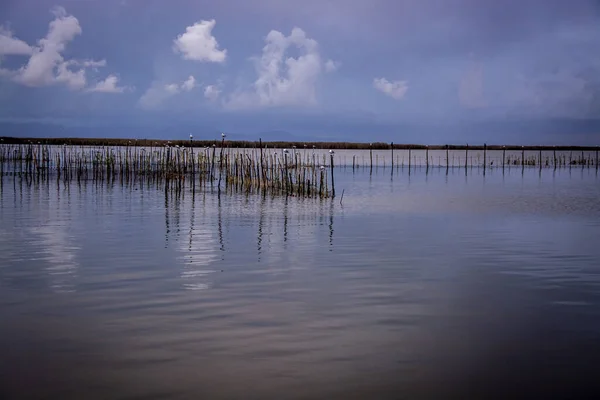 Paysage Poteaux Verticaux Bois Quais Inachevés Dans Eau Sous Ciel — Photo