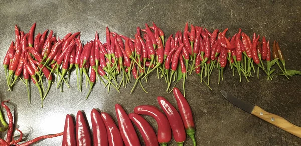 Chili Piri Caliente Listo Para Quemar — Foto de Stock