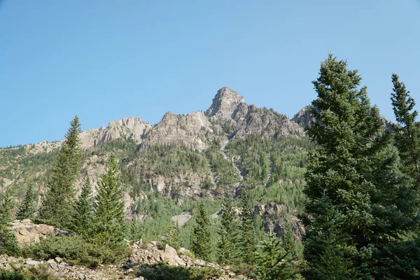 Una Vista Natural Árboles Altos Bosque Montañas Rocosas Bajo Día —  Fotos de Stock