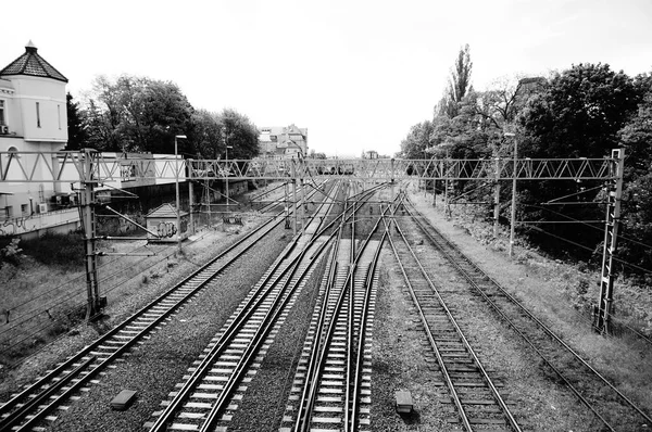 Tiro Escala Cinza Uma Ferrovia Durante Dia — Fotografia de Stock