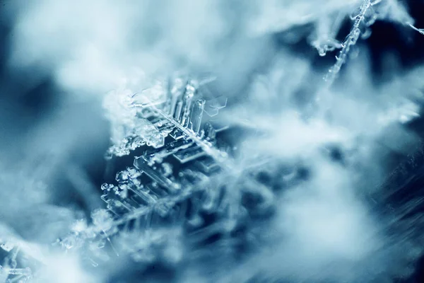 Makroaufnahme Schöner Schneeflocken — Stockfoto