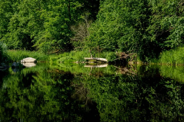 Een Prachtig Uitzicht Een Stromende Rivier Omringd Door Groen Het — Stockfoto