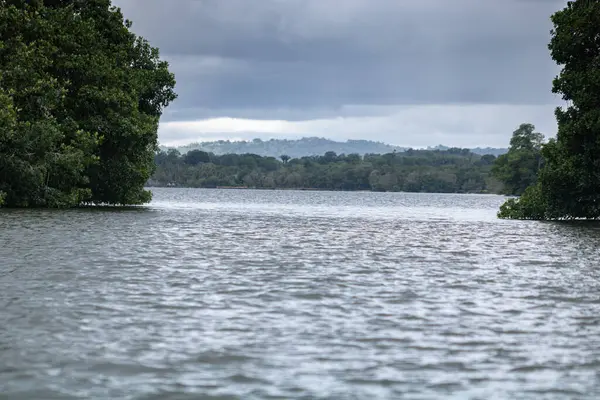 Een Prachtig Uitzicht Een Meer Omgeven Door Groen Onder Een — Stockfoto