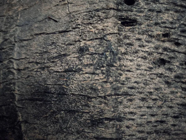 Коричневе Дерево Текстури Дерева Зернами Фону — стокове фото