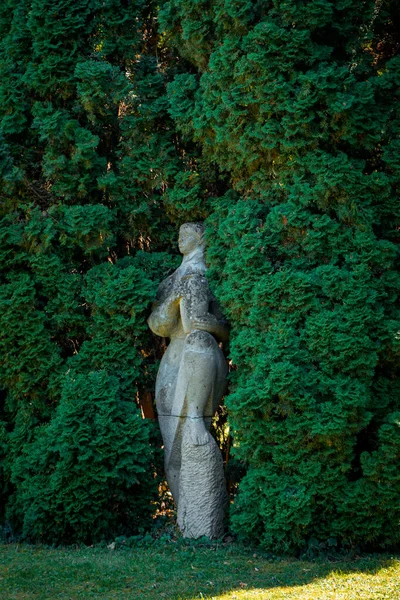 Uma Estátua Uma Mulher Escondida Entre Árvores Verdes Parque — Fotografia de Stock