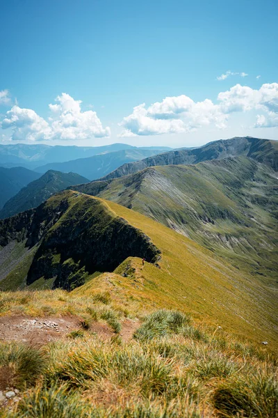 Una Splendida Vista Sulle Verdi Montagne Scintillanti Sotto Cielo Azzurro — Foto Stock