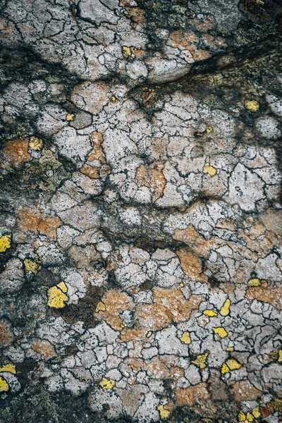 Closeup Rough Rocky Surface Covered Lichen — Stock Photo, Image