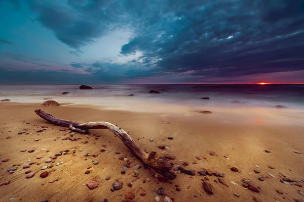 리투아니아 발트해 석양을 바라보는 매혹적 — 스톡 사진