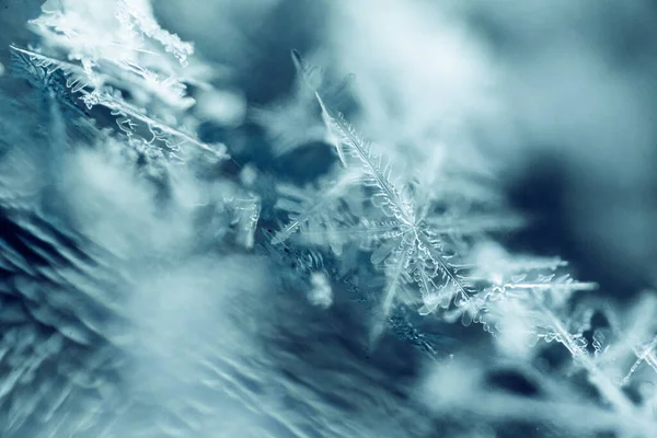 Μια Μακρο Λήψη Όμορφων Νιφάδων Χιονιού — Φωτογραφία Αρχείου