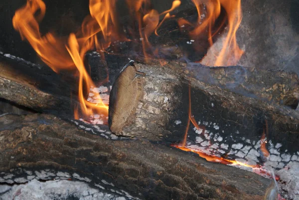Zbliżenie Ogniska Szczegóły Dotyczące Spalania Drewna — Zdjęcie stockowe
