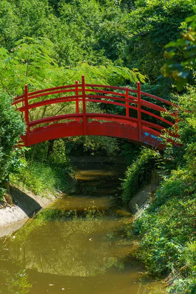 Czerwony Japoński Ogród Most Nad Małą Zieloną Rzeką Wśród Roślinności — Zdjęcie stockowe