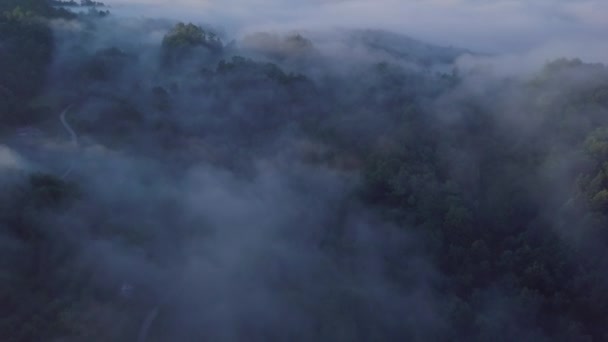 Niebla Las Montañas — Vídeos de Stock
