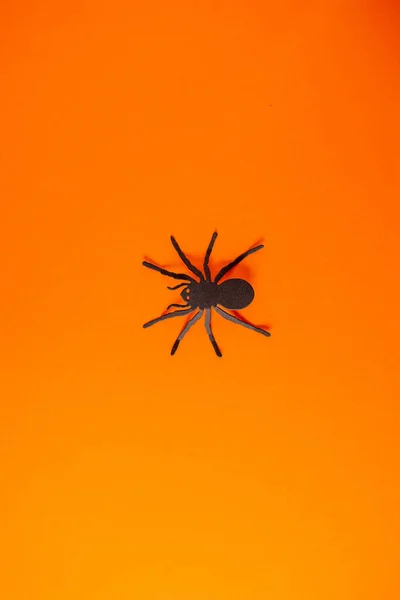 Metallic Wolf Spider Vibrant Orange Background — Stock Photo, Image