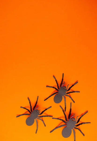 Vibrant Orange Background Metallic Black Widow Spiders Corner Copy Space — Stock Photo, Image