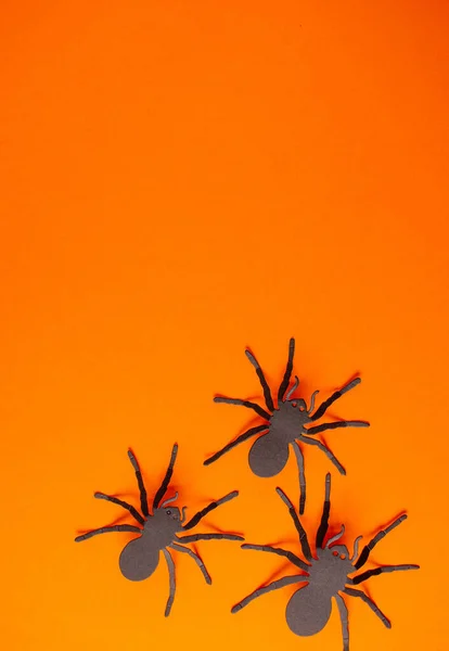 Fond Orange Vif Avec Des Araignées Veuves Noires Métalliques Sur — Photo