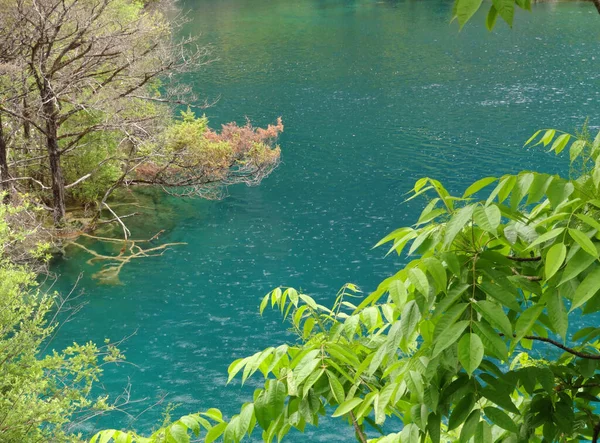 Μια Οριζόντια Άποψη Ένα Όμορφο Φυσικό Μέρος Των Δέντρων Που — Φωτογραφία Αρχείου