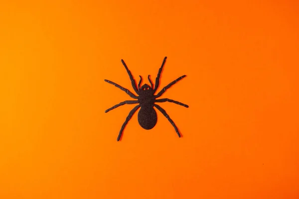 Una Araña Lobo Metálico Sobre Vibrante Fondo Naranja — Foto de Stock