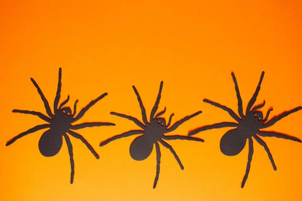 Metallic Wolf Spiders Vibrant Orange Background — Stock Photo, Image