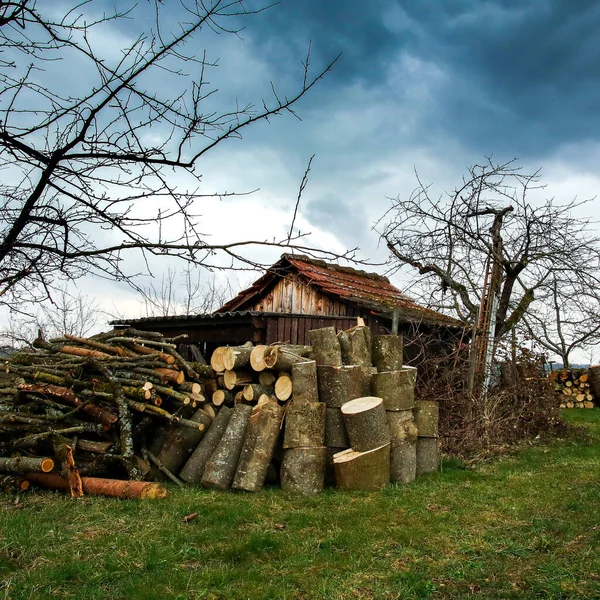 Una Pila Tronchi Tagliati Vicino Una Casa Rurale — Foto Stock