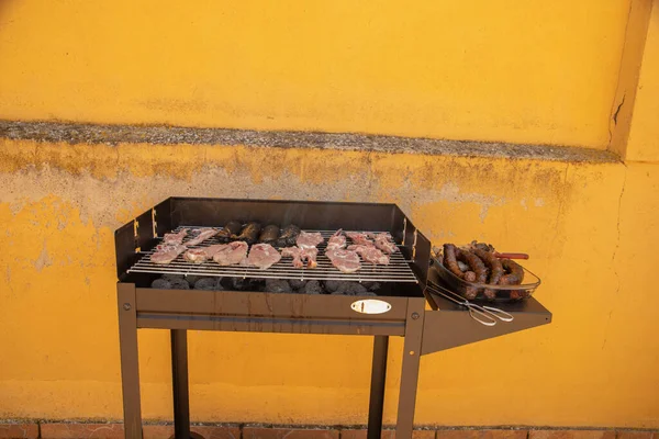 Metallisk Kolgrill Med Utsökt Kött — Stockfoto