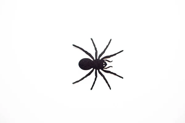 Металевий Вовк Павук Порожньому Білому Тлі — стокове фото
