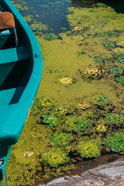 Plan Angle Élevé Bateau Peint Bleu Plantes Vertes Dans Lac — Photo