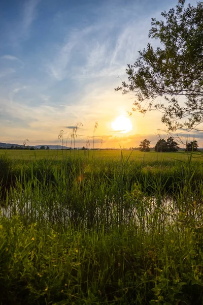 Gyönyörű Természetvédelmi Terület Constance Németország — Stock Fotó