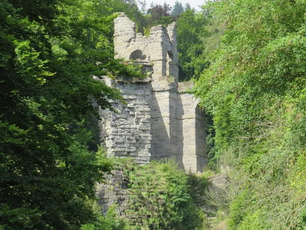 Les Ruines Château Entre Les Arbres — Photo