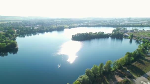 Vanuit Lucht Uitzicht Rivier Het Bos — Stockvideo