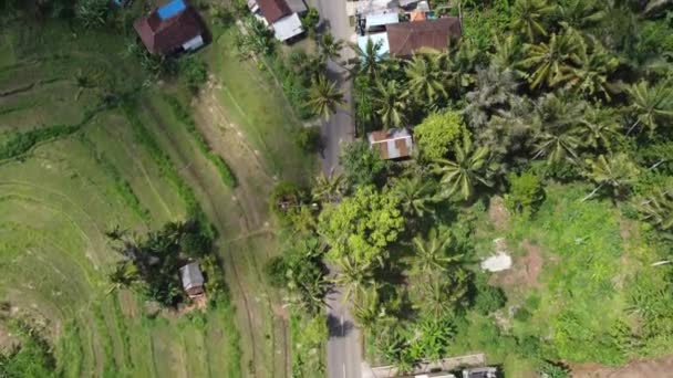 Srail Başkentinin Havadan Görünüşü — Stok video