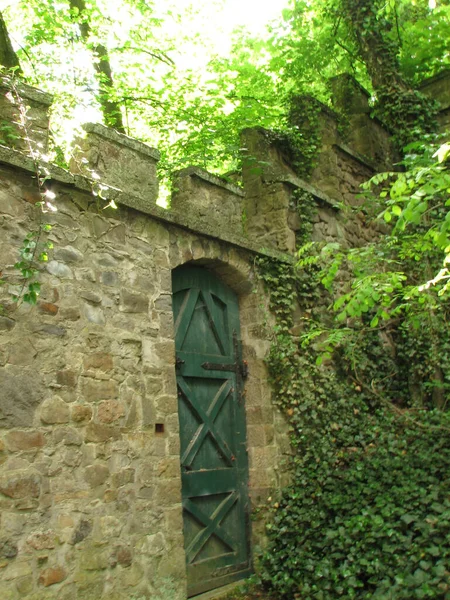 View Door Stone Wall Surrounded Trees Sunny Day — Stock Photo, Image