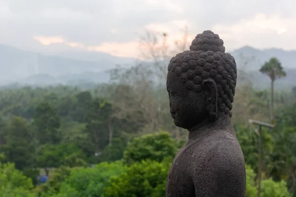 Egy Buddha Szobor Oldalnézete Borobudur Mahayana Buddhista Templomában Muntilanban Jáván — Stock Fotó