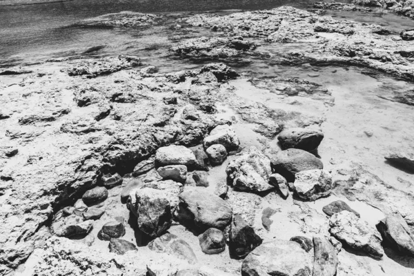 Uma Escala Cinza Água Musgosa Pedras Rochoso Uma Praia — Fotografia de Stock