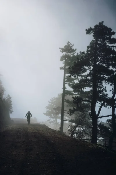 Ένα Κάθετο Ενός Ποδηλάτη Ένα Δάσος Κατά Διάρκεια Πολύ Σκληρών — Φωτογραφία Αρχείου