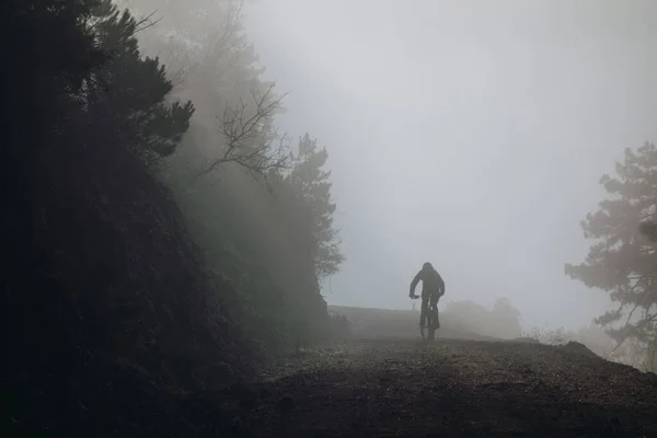 Çok Sert Bir Havada Ormanda Bisikletçinin Güzel Bir Görüntüsü — Stok fotoğraf