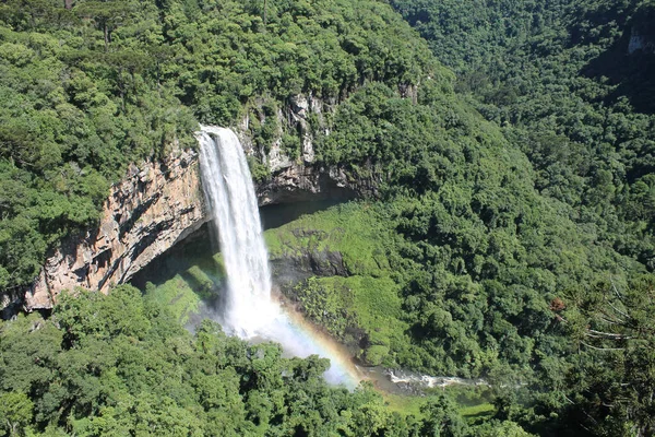 位于巴西卡内拉的卡拉科尔瀑布被茂密的绿林环绕着 美丽的空中风景 — 图库照片