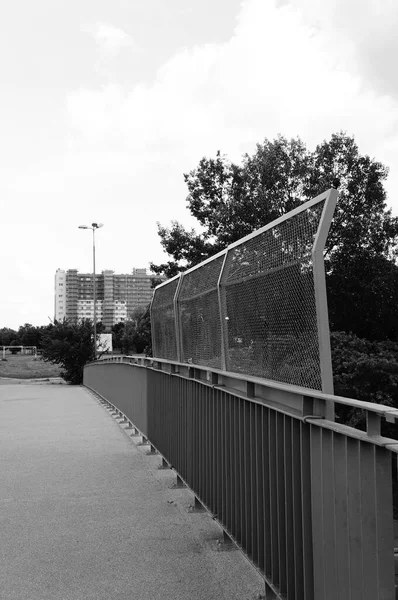 Een Grijsschaal Van Een Moderne Brug Met Een Hek Stad — Stockfoto