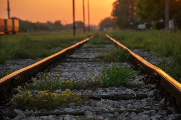 Gün Batımının Yansıması Olan Bir Demiryolunun Alçak Açılı Görüntüsü — Stok fotoğraf
