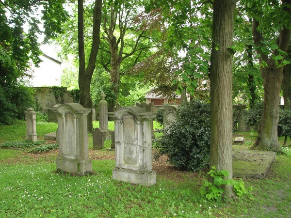 Una Vista Las Piedras Cementerio Rodeado Árboles Día Soleado —  Fotos de Stock