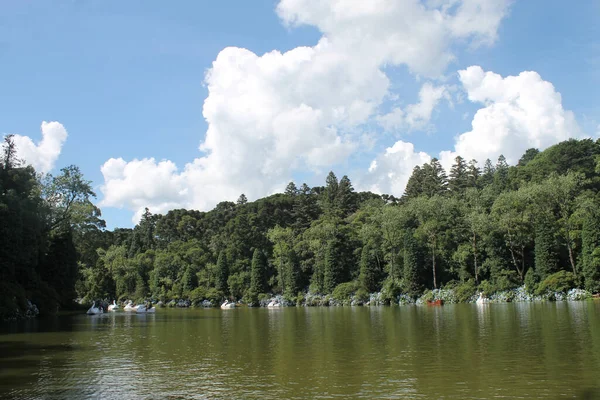 Belo Dia Ensolarado Fora Com Lago Verde Cercado Por Árvores — Fotografia de Stock