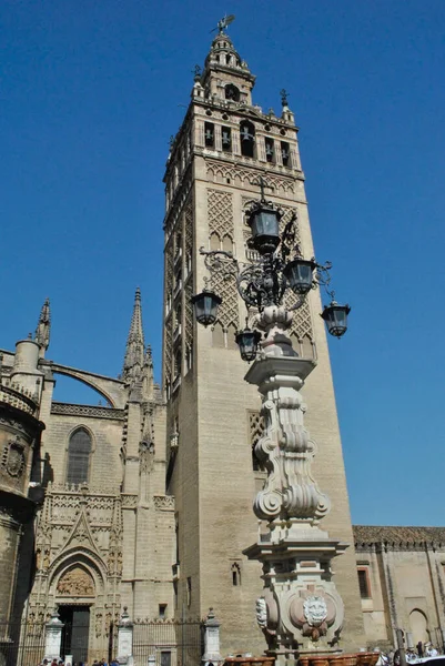Alacsony Látószögű Kilátás Gyönyörű Katedrális Sevilla Sevilla Spanyolország Egy Napsütéses — Stock Fotó