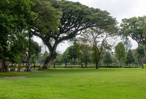 Piękny Park Pełen Bujnych Zielonych Drzew Pod Zachmurzonym Niebem Indonezji — Zdjęcie stockowe