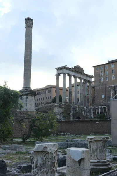 Italy Sep 2019 Vertikalt Opptak Forum Romanum Dets Struktur Palatinerhøyden – stockfoto