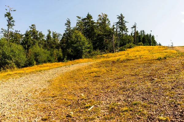 Łąki Alpejskie Bihorze Rumunia — Zdjęcie stockowe