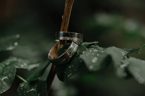 Primer Plano Los Anillos Boda Una Hoja Con Gotas Agua — Foto de Stock