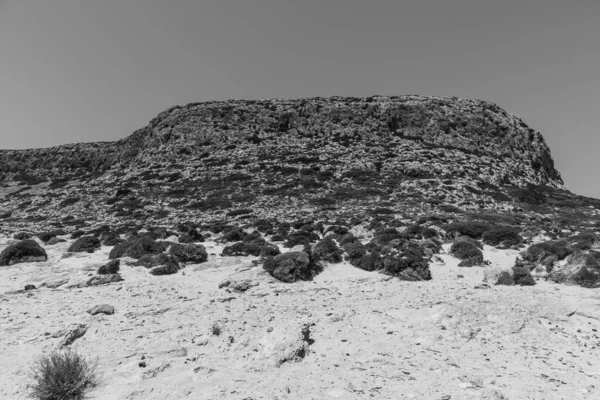 Grayscale Mossy Water Stones Rocky Seashore — Stock Photo, Image