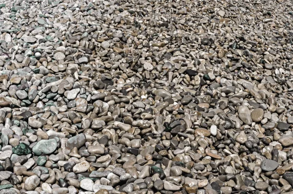 Närbild Ett Gäng Små Våta Strandstenar — Stockfoto