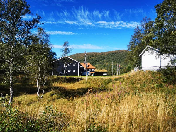 萨莫兰格 挪威2021年8月27日 一个晴朗的夏日 在Kvamseter小屋 头顶蓝蓝的天空 — 图库照片