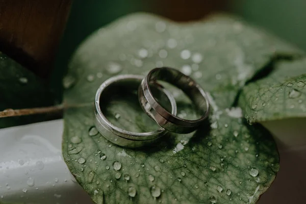 Närbild Bröllopsringarna Ett Löv Med Vattendroppar — Stockfoto