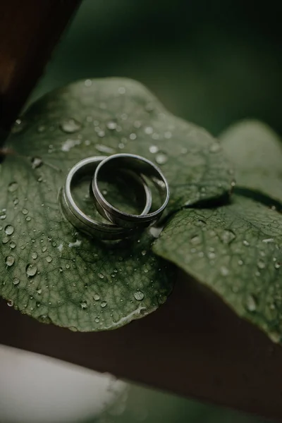 Tiro Close Dos Anéis Casamento Uma Folha Com Gotas Água — Fotografia de Stock